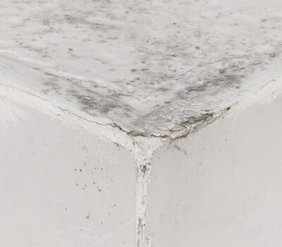 Bathroom walls always damp?