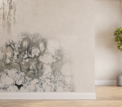 Flaky walls & ugly stains ruining your drawing room space?