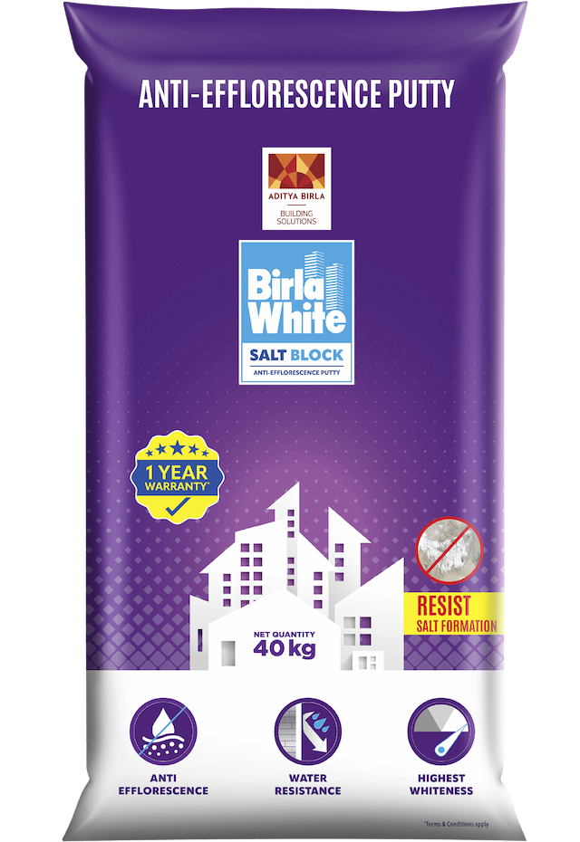 Saltblock Anti-Efflorescence Putty