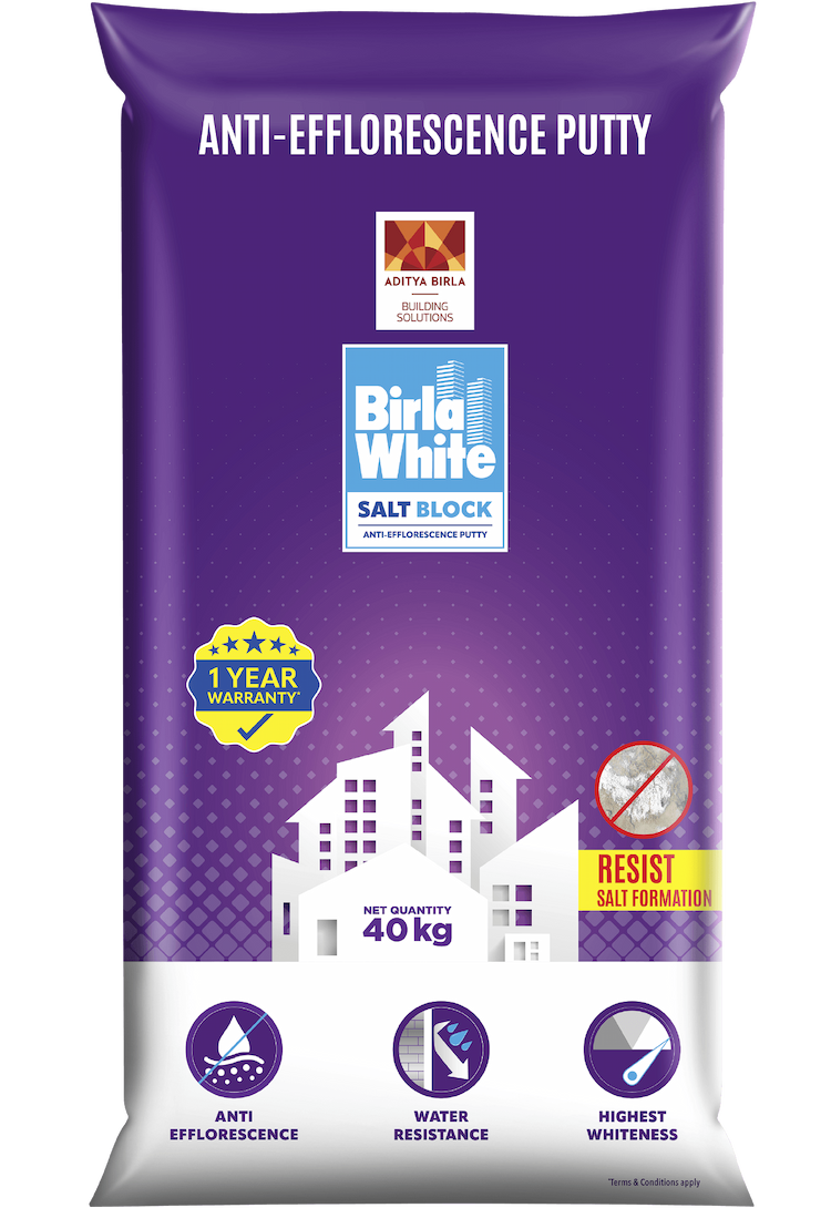 Saltblock Anti-Efflorescence Putty