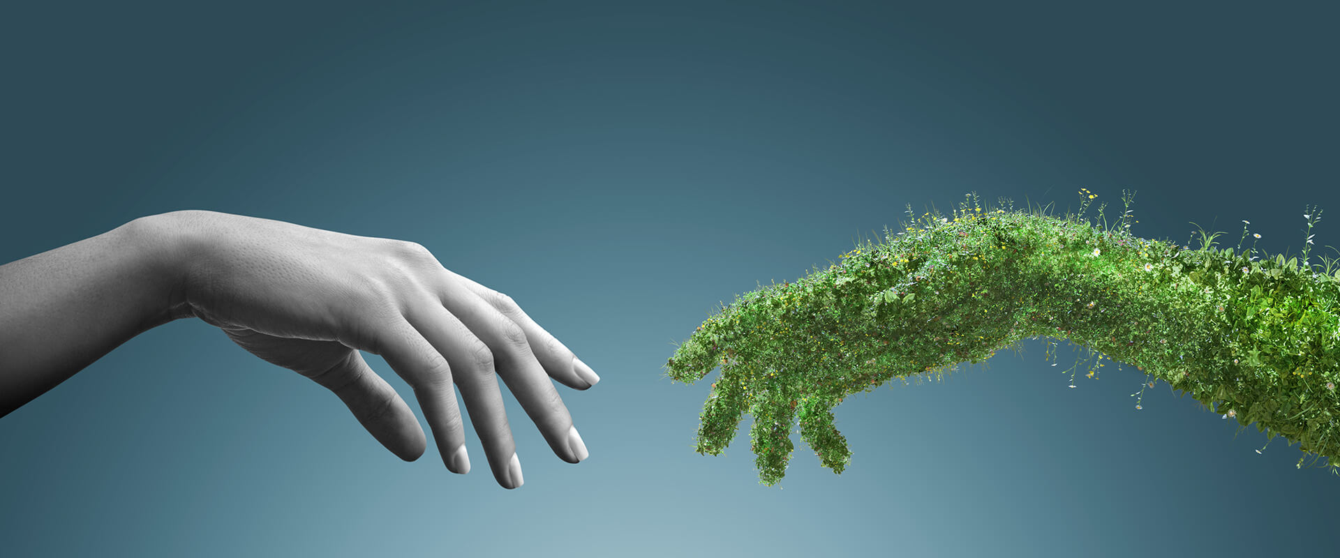 Sustainability Reports